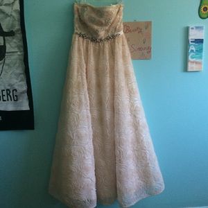 Pale pink prom/wedding dress