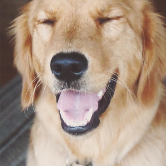 Meet the Posher, Whitley - Picture 3 of 3