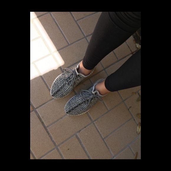 Turtle dove Yeezy's