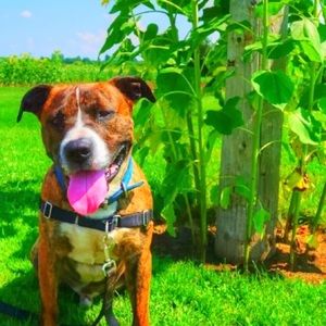 Meet your Posher, Kristin