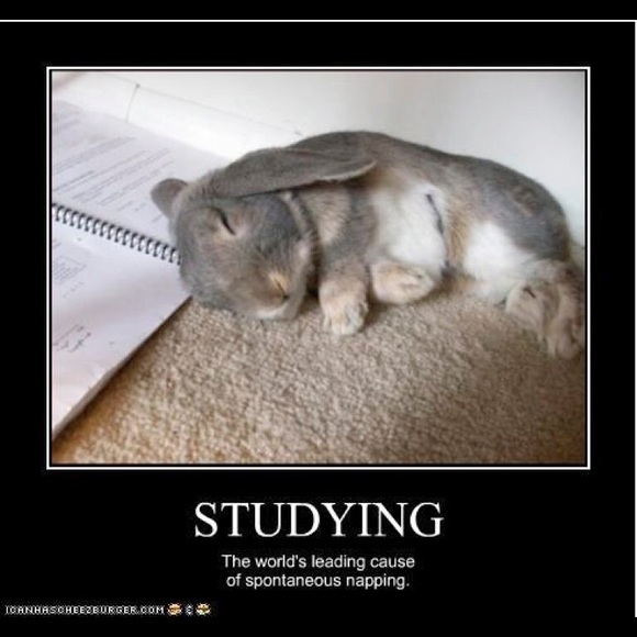 Meet your Posher, Jaye - Picture 2 of 8