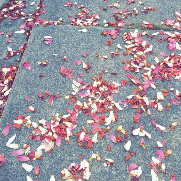 Meet your Posher, Ava - Picture 1 of 1