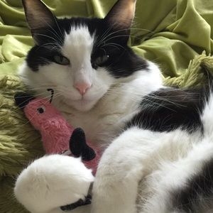 Meet your Posher, Molly