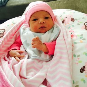 Meet your Posher, Grisel