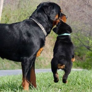 Meet your Posher, Jody