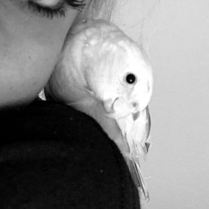 Meet your Posher, Josie