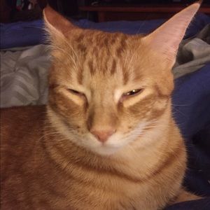 Meet your Posher, Lucie