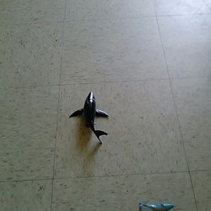 Meet your Posher, Renee