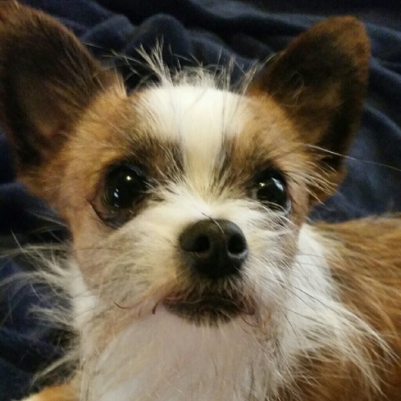 The culprit of your added "bonus" - Picture 2 of 2