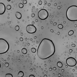 Meet your Posher, Sabrina