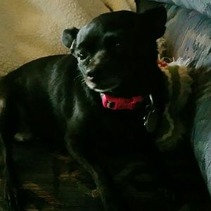 Meet your Posher, Bonita