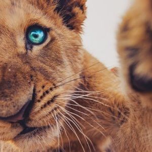 Meet your Posher, Kaylin