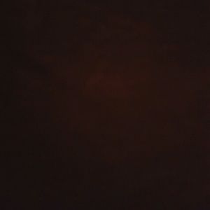 Meet your Posher, Dee