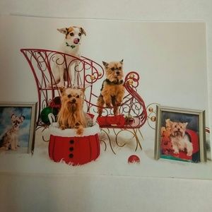 Meet your Posher, Jodine