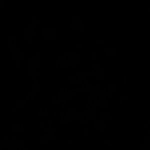 Meet your Posher, Josie