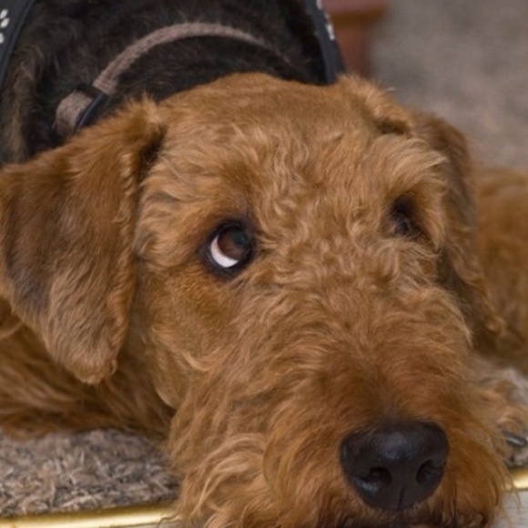 Meet your Posher, Kristen - Picture 4 of 4