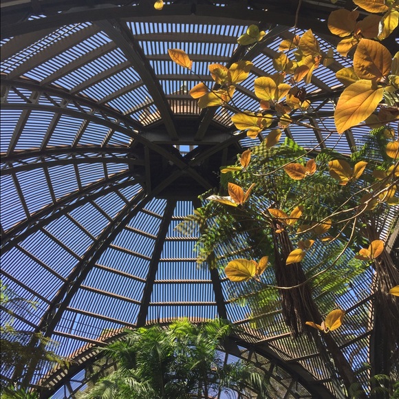 Meet your Posher, Kristy