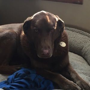 Meet your Posher, Dana