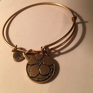 Alex & Ani - Granddaughter charm bracelet - Gold