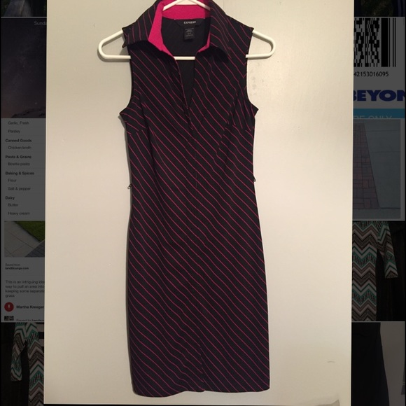 Express navy and pink dress