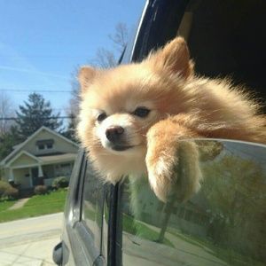 Meet your Posher, Erica