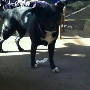 Meet your Posher, Leah