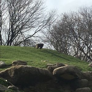 Meet your Posher, Ana