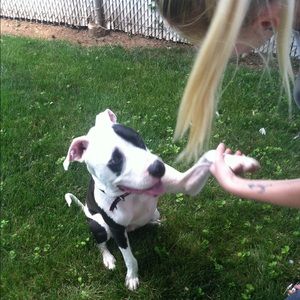 Meet your Posher, Shayla