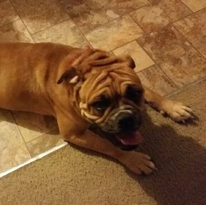 Meet your Posher, Erma