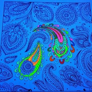 Meet your Posher, Shelby