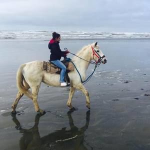 Meet your Posher, Alexis