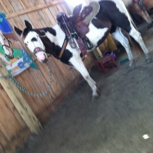 Meet your Posher, Jenna