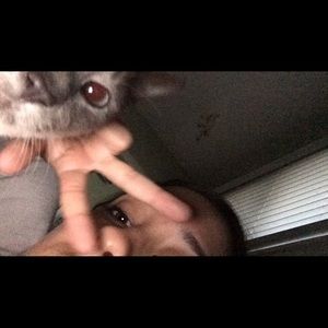 Meet your Posher, Allison