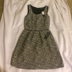 BRAND NEW!!!!  Cream and black