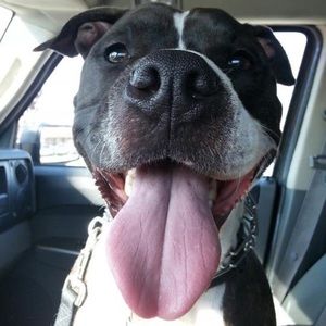 Meet your Posher, Chellie