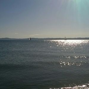 Meet your Posher, Shenea