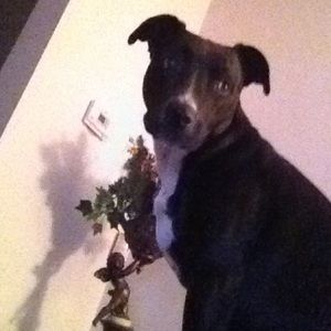 Meet your Posher, Mary