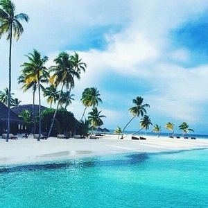 Meet your Posher, Jetta