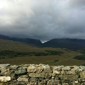 Meet your Posher, Jodie