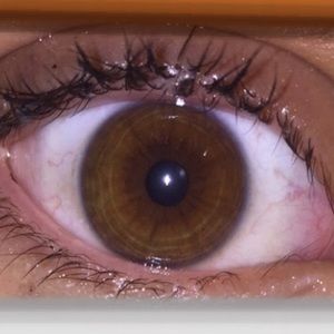 Meet your Posher, Olivia