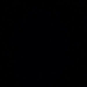 Meet your Posher, Shade