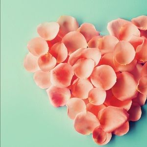 Meet your Posher, Audrey