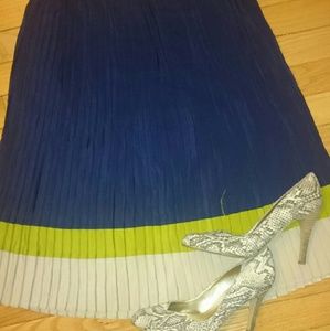 Color block accordian pleat skirt