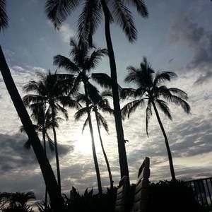 Meet your Posher, Janey