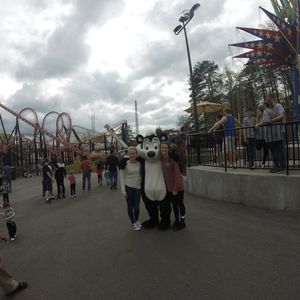 Meet your Posher, Ivy