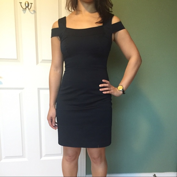 BCBG Max and Cleo Bodycon Dress