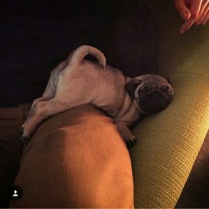 Meet your Posher, Abel