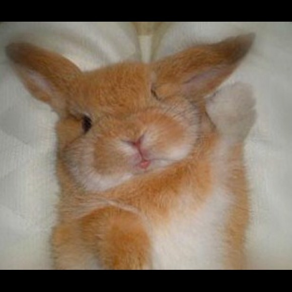 Meet your Posher, Eva