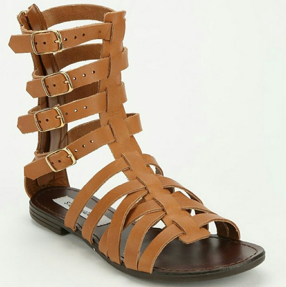 Ceaserr Cognac Gladiators