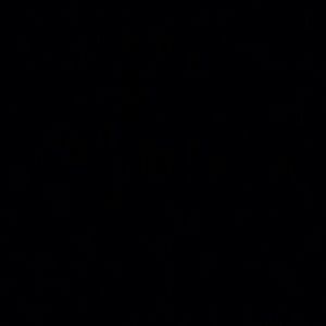 Meet your Posher, Krystal